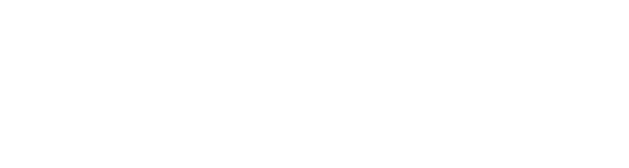 Pointer